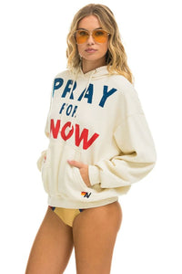 Pray For Snow Relaxed Pullover Hoodie